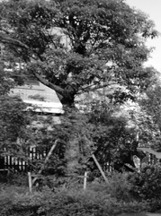 宣州注册公司